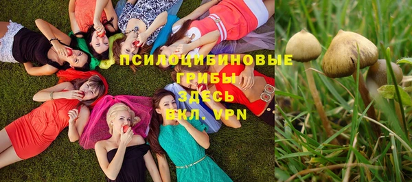 мдма Карпинск