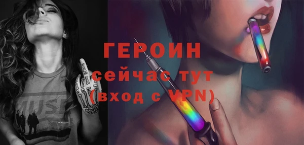 индика Инта