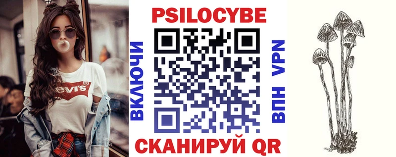 хочу   Щигры  Псилоцибиновые грибы MAGIC MUSHROOMS 