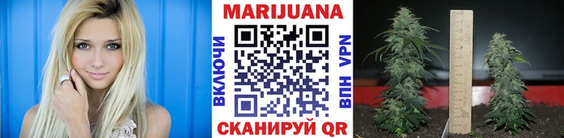 Марихуана OG Kush Щигры